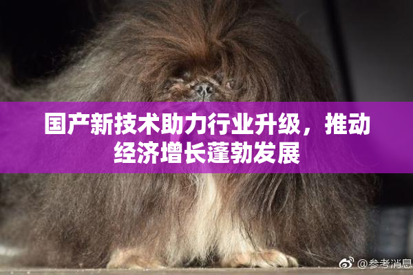 国产新技术助力行业升级，推动经济增长蓬勃发展