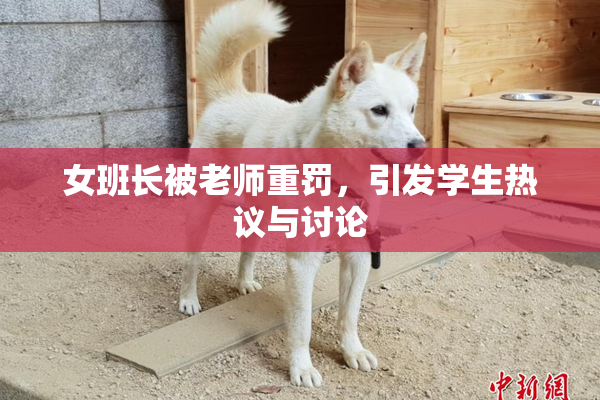 女班长被老师重罚，引发学生热议与讨论