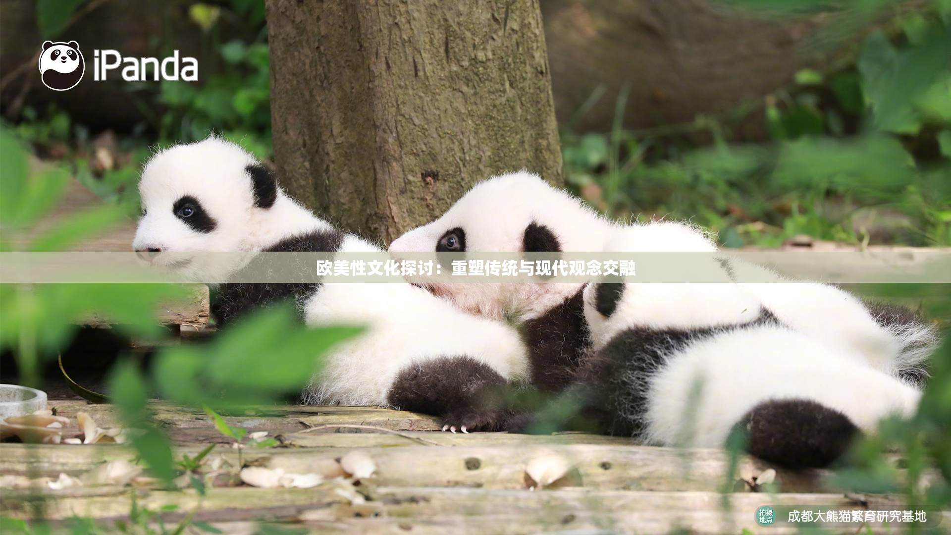 欧美性文化探讨：重塑传统与现代观念交融