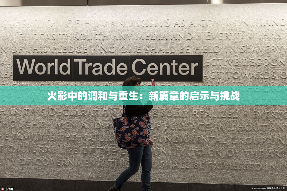 火影中的调和与重生：新篇章的启示与挑战