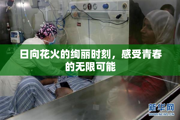 日向花火的绚丽时刻，感受青春的无限可能