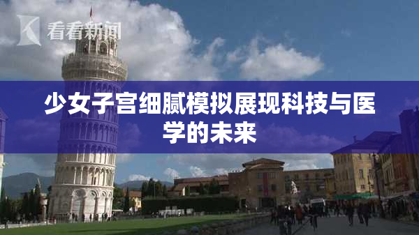 少女子宫细腻模拟展现科技与医学的未来
