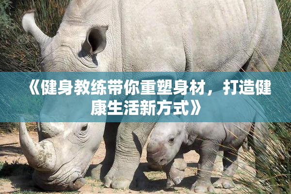 《健身教练带你重塑身材，打造健康生活新方式》