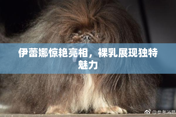 伊蕾娜惊艳亮相，裸乳展现独特魅力