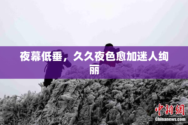夜幕低垂，久久夜色愈加迷人绚丽