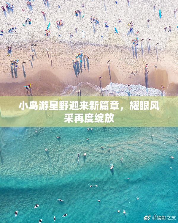 小鸟游星野迎来新篇章，耀眼风采再度绽放