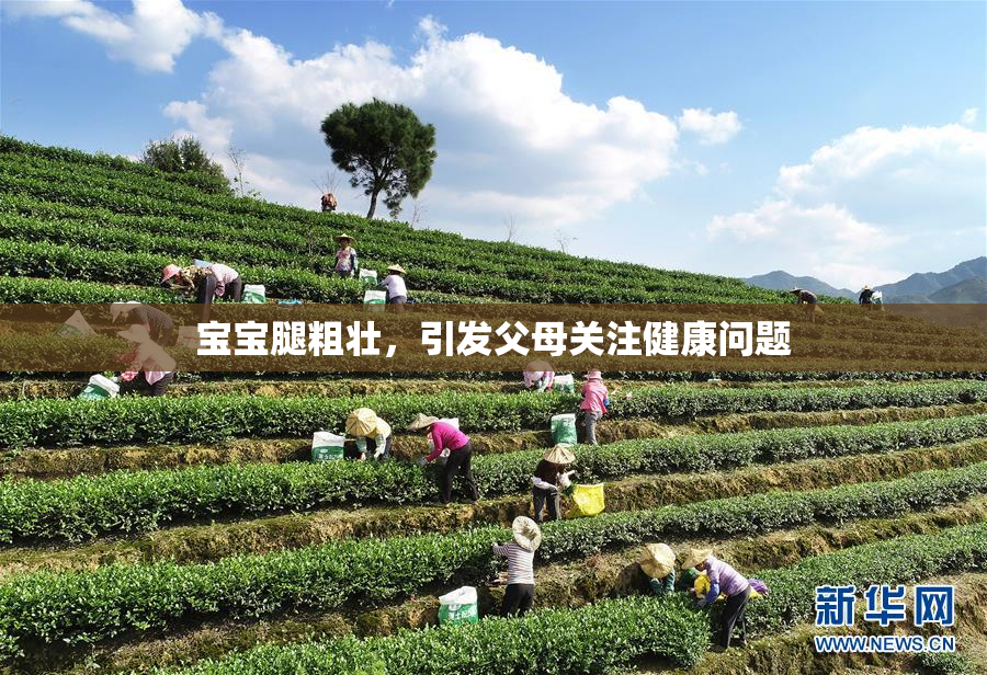 宝宝腿粗壮，引发父母关注健康问题