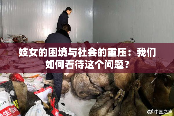 妓女的困境与社会的重压：我们如何看待这个问题？