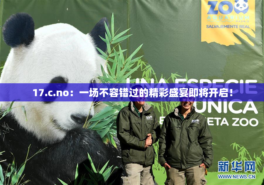 17.c.no：一场不容错过的精彩盛宴即将开启！