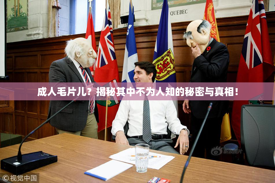 成人毛片儿？揭秘其中不为人知的秘密与真相！