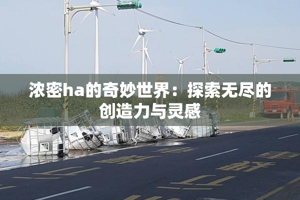 浓密ha的奇妙世界：探索无尽的创造力与灵感