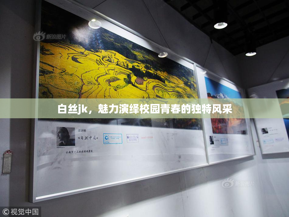 白丝jk，魅力演绎校园青春的独特风采