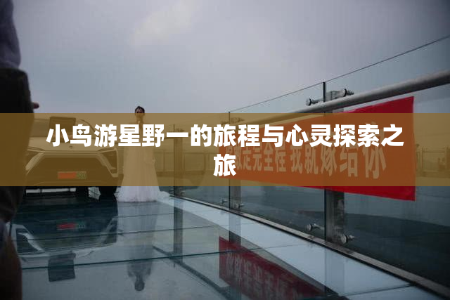 小鸟游星野一的旅程与心灵探索之旅