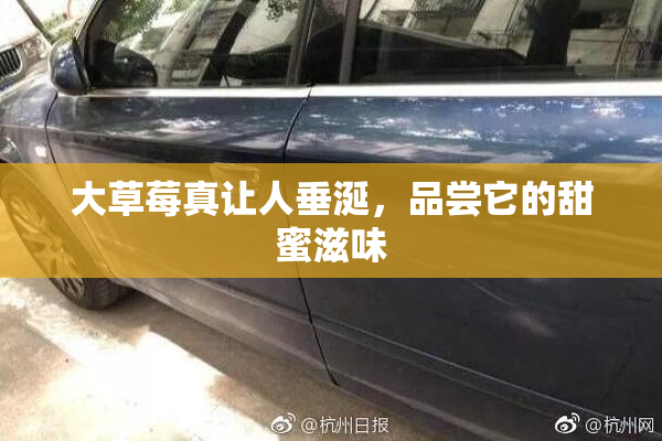 大草莓真让人垂涎，品尝它的甜蜜滋味