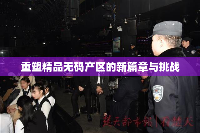重塑精品无码产区的新篇章与挑战