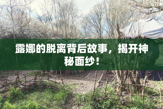 露娜的脱离背后故事，揭开神秘面纱！