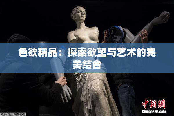 色欲精品：探索欲望与艺术的完美结合