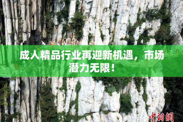 成人精品行业再迎新机遇，市场潜力无限！