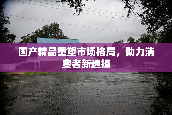 国产精品重塑市场格局，助力消费者新选择