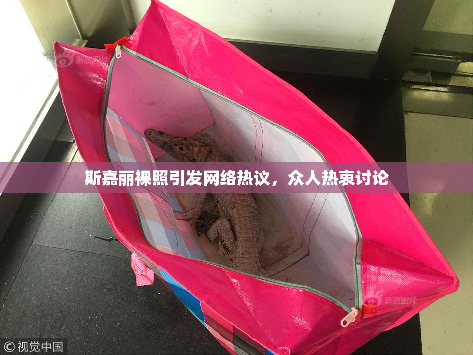斯嘉丽裸照引发网络热议，众人热衷讨论
