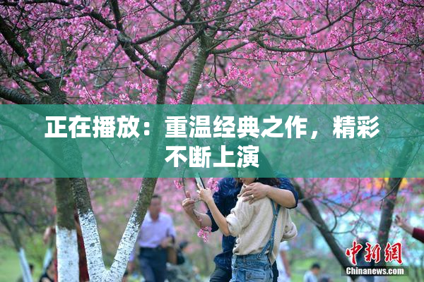 正在播放：重温经典之作，精彩不断上演