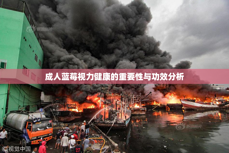成人蓝莓视力健康的重要性与功效分析