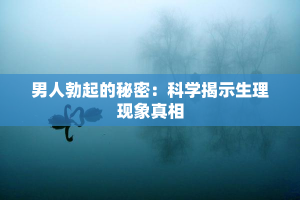 男人勃起的秘密：科学揭示生理现象真相