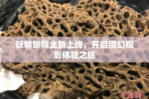妖精影院全新上线，开启魔幻观影体验之旅