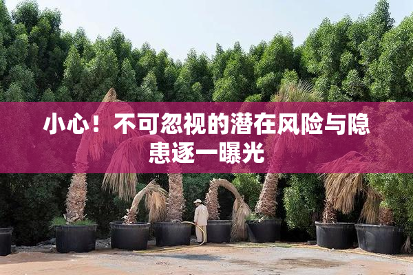小心！不可忽视的潜在风险与隐患逐一曝光