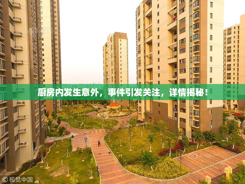 厨房内发生意外，事件引发关注，详情揭秘！