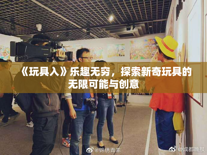 《玩具入》乐趣无穷，探索新奇玩具的无限可能与创意