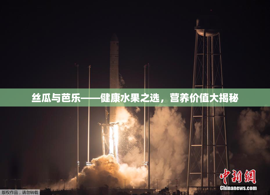 丝瓜与芭乐——健康水果之选，营养价值大揭秘