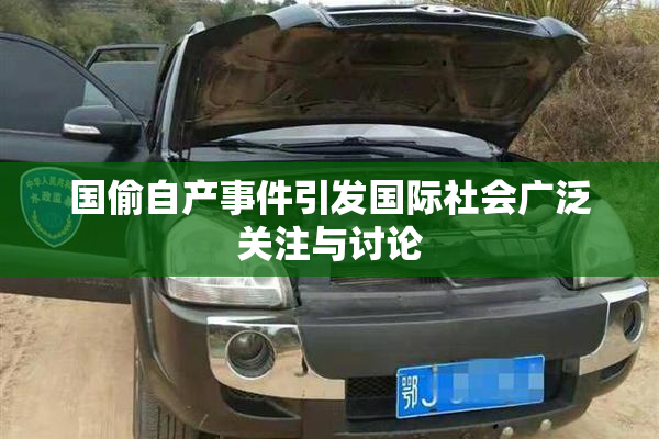 国偷自产事件引发国际社会广泛关注与讨论