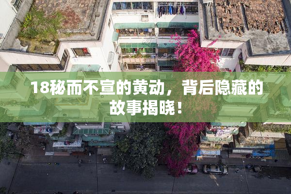 18秘而不宣的黄动，背后隐藏的故事揭晓！