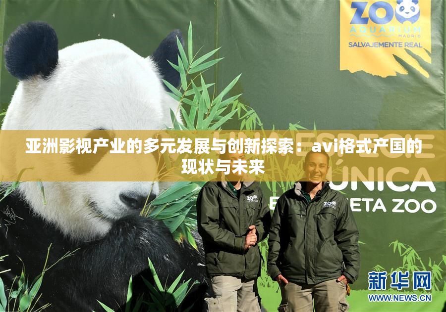 亚洲影视产业的多元发展与创新探索：avi格式产国的现状与未来