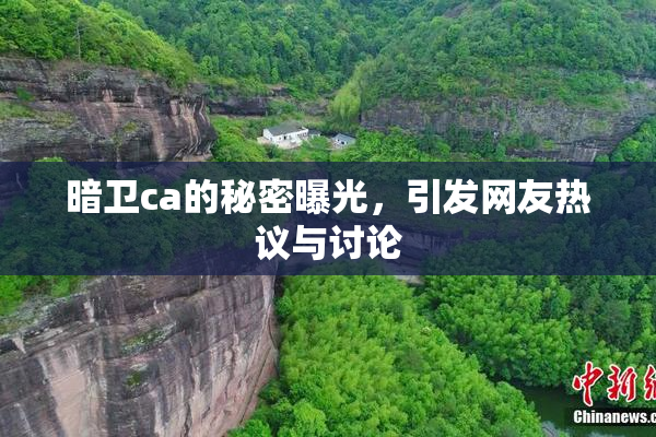暗卫ca的秘密曝光，引发网友热议与讨论