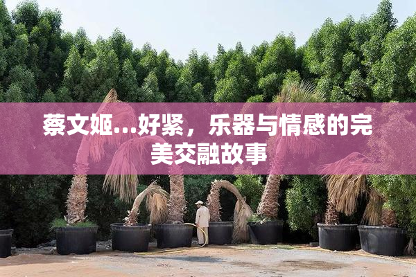 蔡文姬…好紧，乐器与情感的完美交融故事