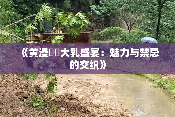 《黄漫❌‌大乳盛宴：魅力与禁忌的交织》