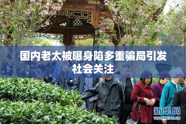 国内老太被曝身陷多重骗局引发社会关注