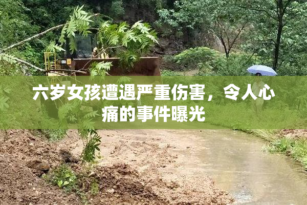 六岁女孩遭遇严重伤害，令人心痛的事件曝光