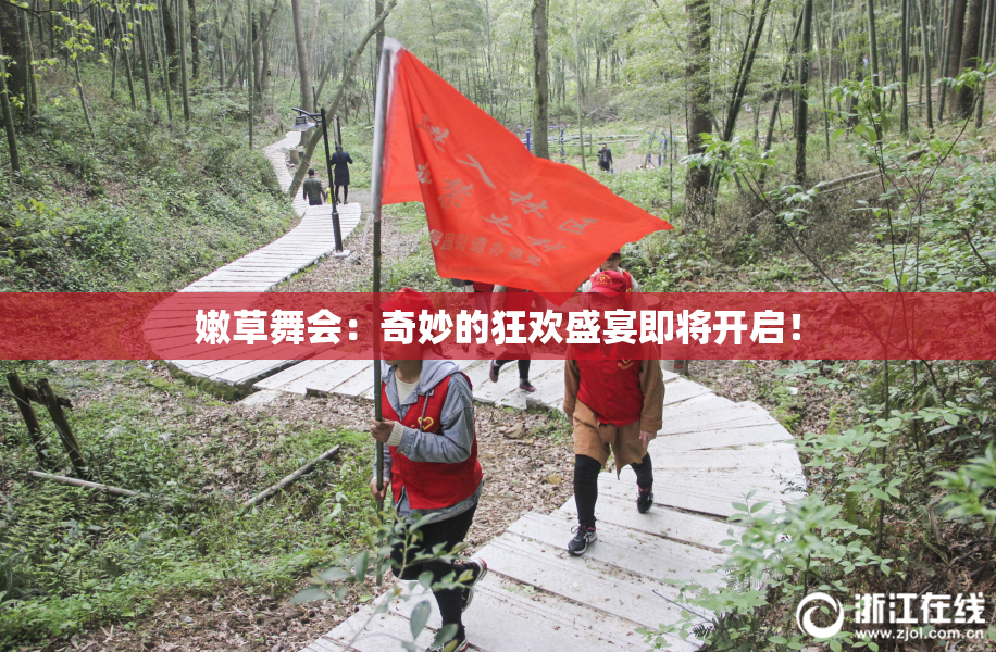 嫩草舞会：奇妙的狂欢盛宴即将开启！