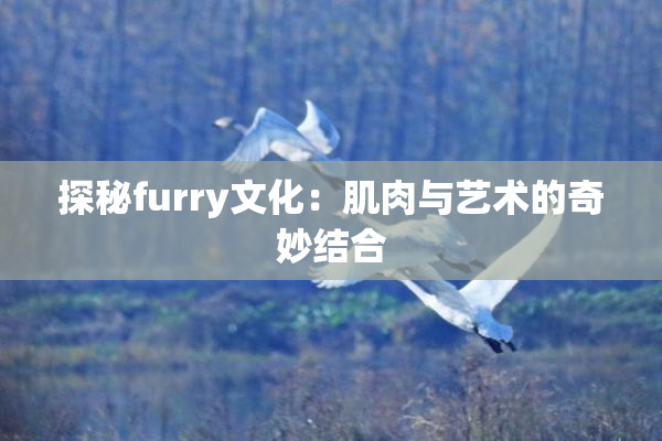 探秘furry文化：肌肉与艺术的奇妙结合