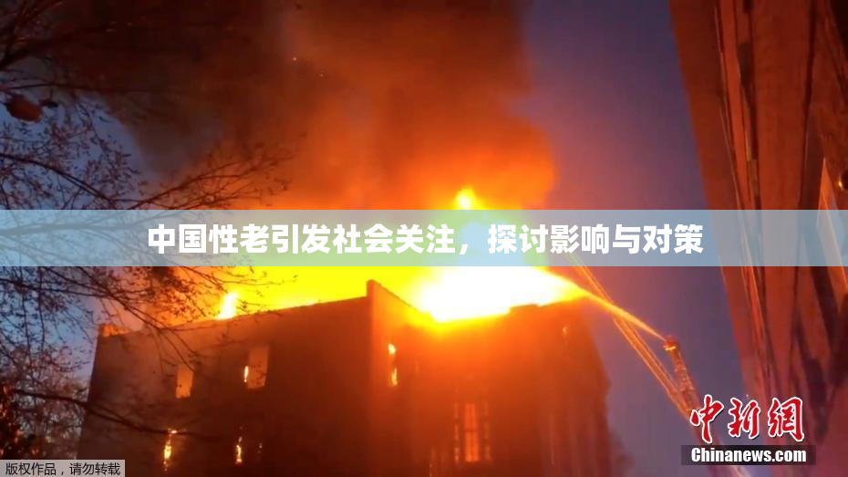 中国性老引发社会关注，探讨影响与对策