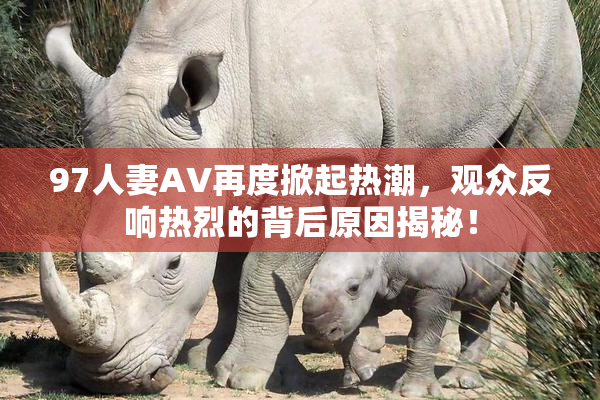 97人妻AV再度掀起热潮，观众反响热烈的背后原因揭秘！