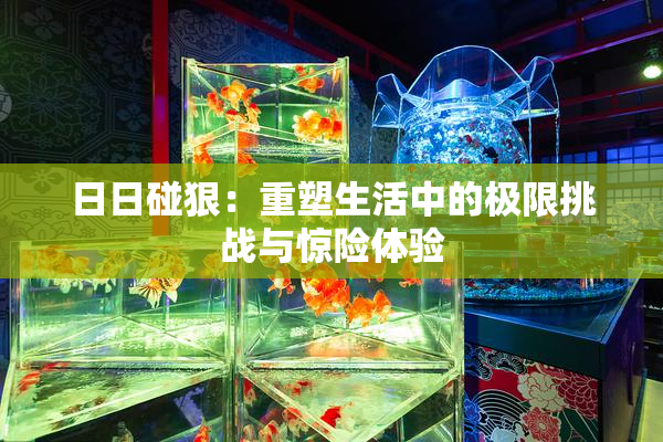 日日碰狠：重塑生活中的极限挑战与惊险体验