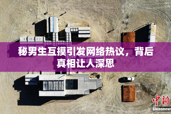 秘男生互摸引发网络热议，背后真相让人深思