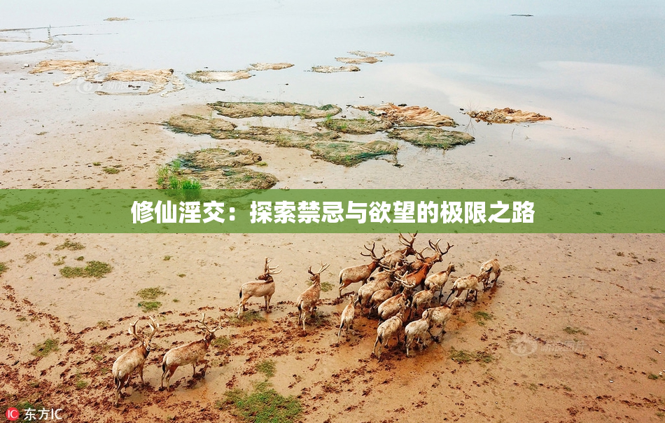 修仙淫交：探索禁忌与欲望的极限之路