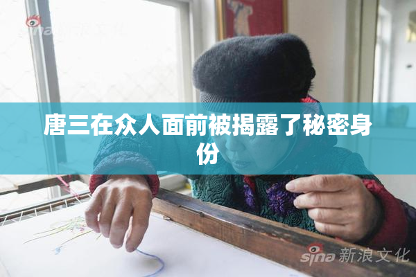 唐三在众人面前被揭露了秘密身份