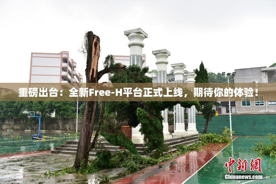重磅出台：全新Free-H平台正式上线，期待你的体验！