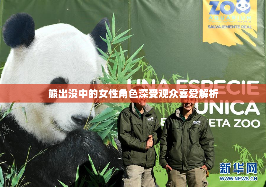 熊出没中的女性角色深受观众喜爱解析